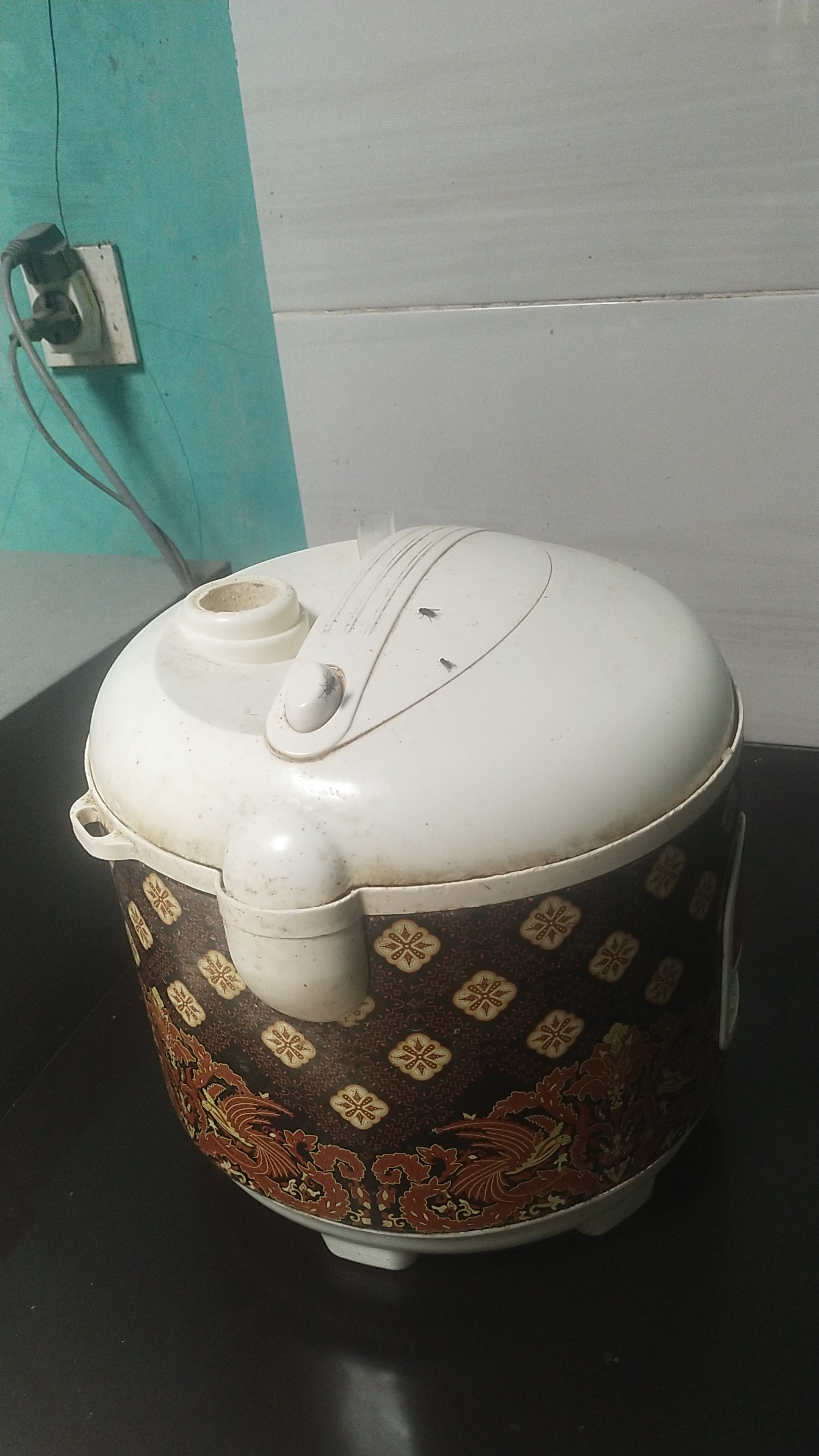 Lampiran foto terkait aduan Laporan Mengenai Kejadian Lalat di Kandang Ayam