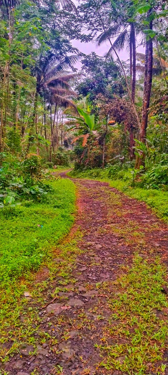 Lampiran foto terkait aduan Usulan Perbaikan Jalan Desa Bumisari RT 17 RW 8 - Dusun Bukung, Brangsong