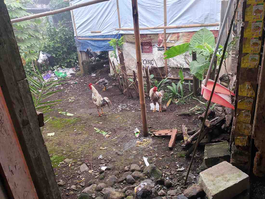 Lampiran foto terkait aduan Laporan Mengenai Kerusakan Pekarangan dan Gangguan Hewan Ternak di Lingkungan RT 002/RW 001