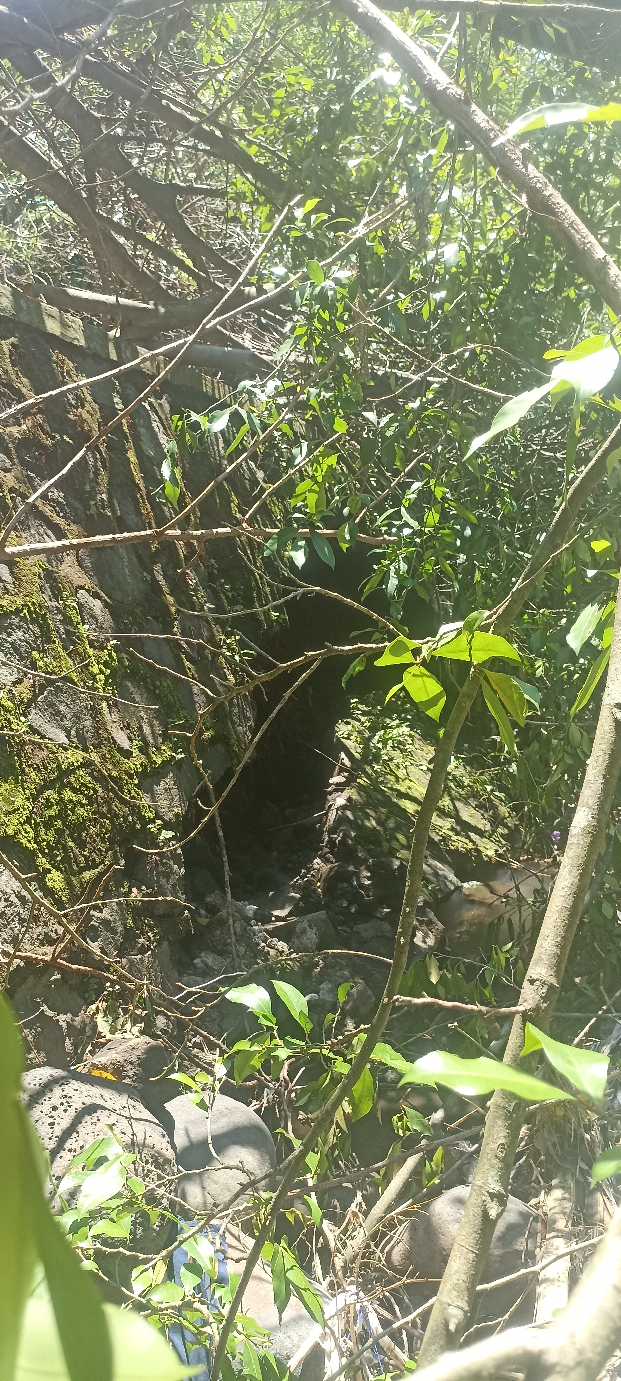 Lampiran foto terkait aduan Laporan Tergerusnya Bantaran Sungai Ponggawa di Utara Jembatan Padamara RT 1 RW 2 Pasca Runoff Pohon di Pinggir Sungai