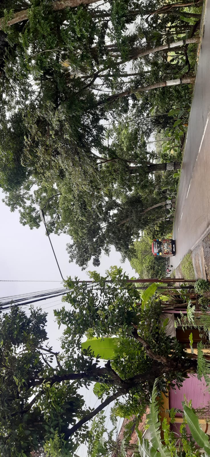 Lampiran foto terkait aduan Lampu PJU Bojong-Toyareja Mati: Rawan Kecelakaan, Mohon Tindak Lanjut Segera (Aduan ke-3)