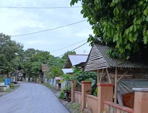 Laporan