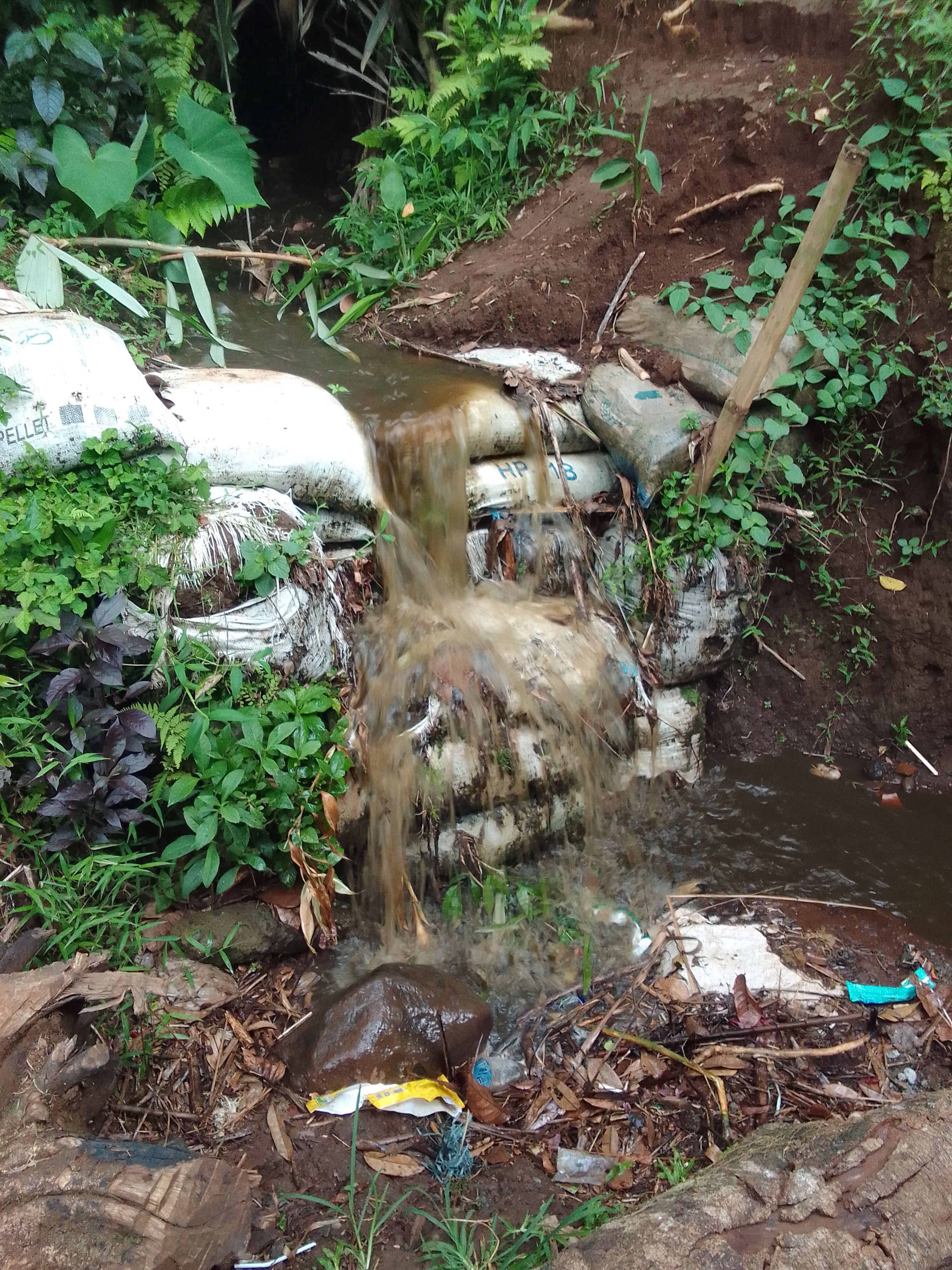 Lampiran foto terkait aduan Dampak Pencemaran Limbah Kandang Ayam dan Kolam Ikan terhadap Kualitas Air Sumur Warga di Ds. Krenceng