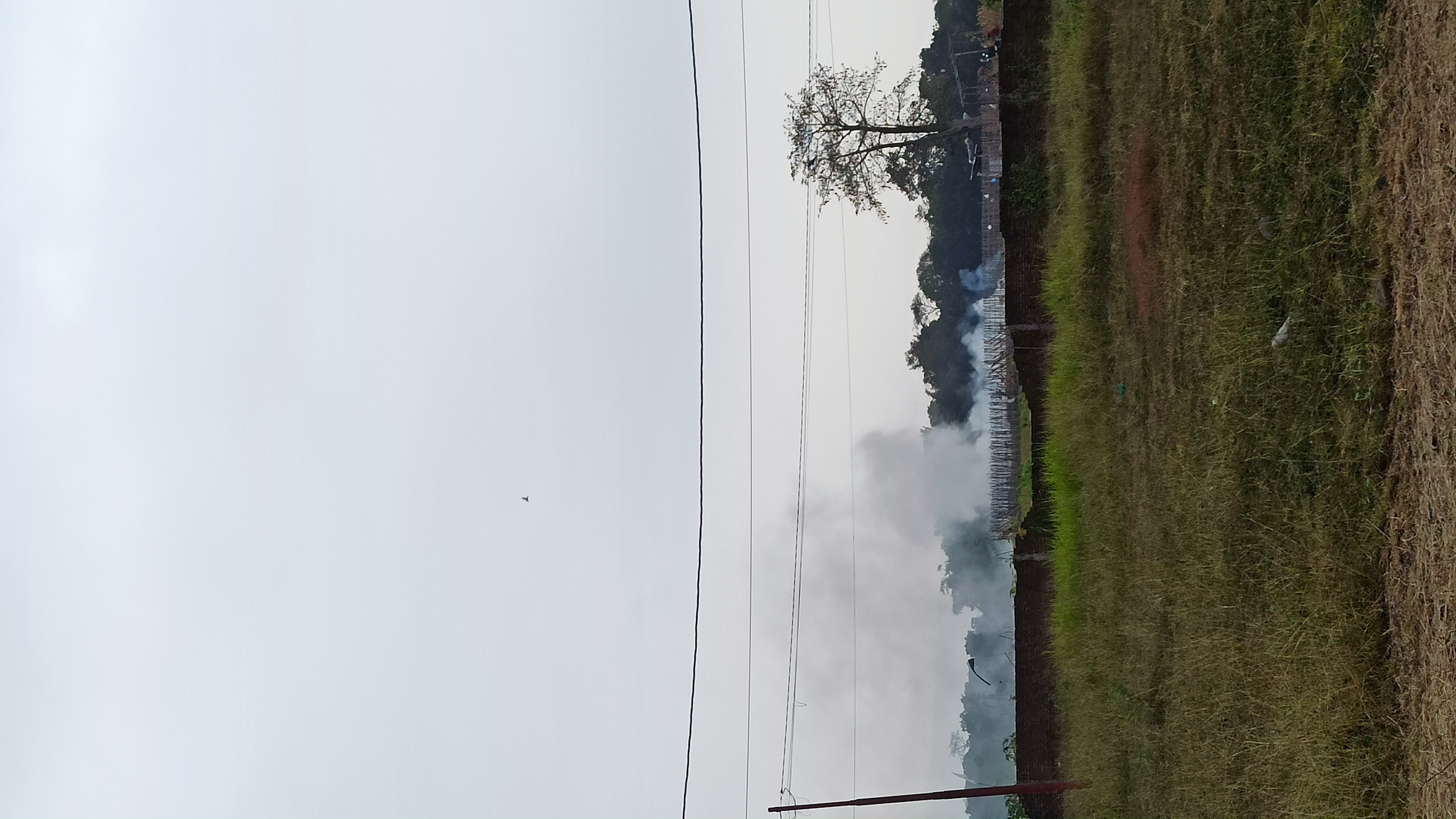 Laporan