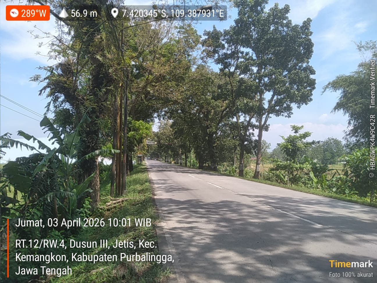 Lampiran foto terkait aduan Permohonan Pemangkasan Ranting Pohon dan Perbaikan Penerangan Jalan di Dusun III, Jetis, Kec. Kemangkon