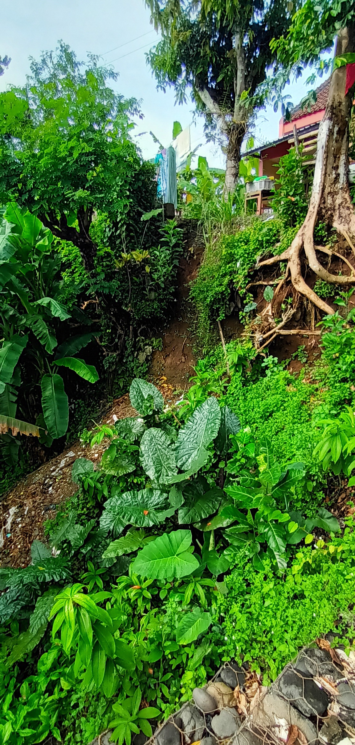 Lampiran foto terkait aduan Laporan Potensi Putusnya Jalan Sidodadi Akibat Longsor Tebing