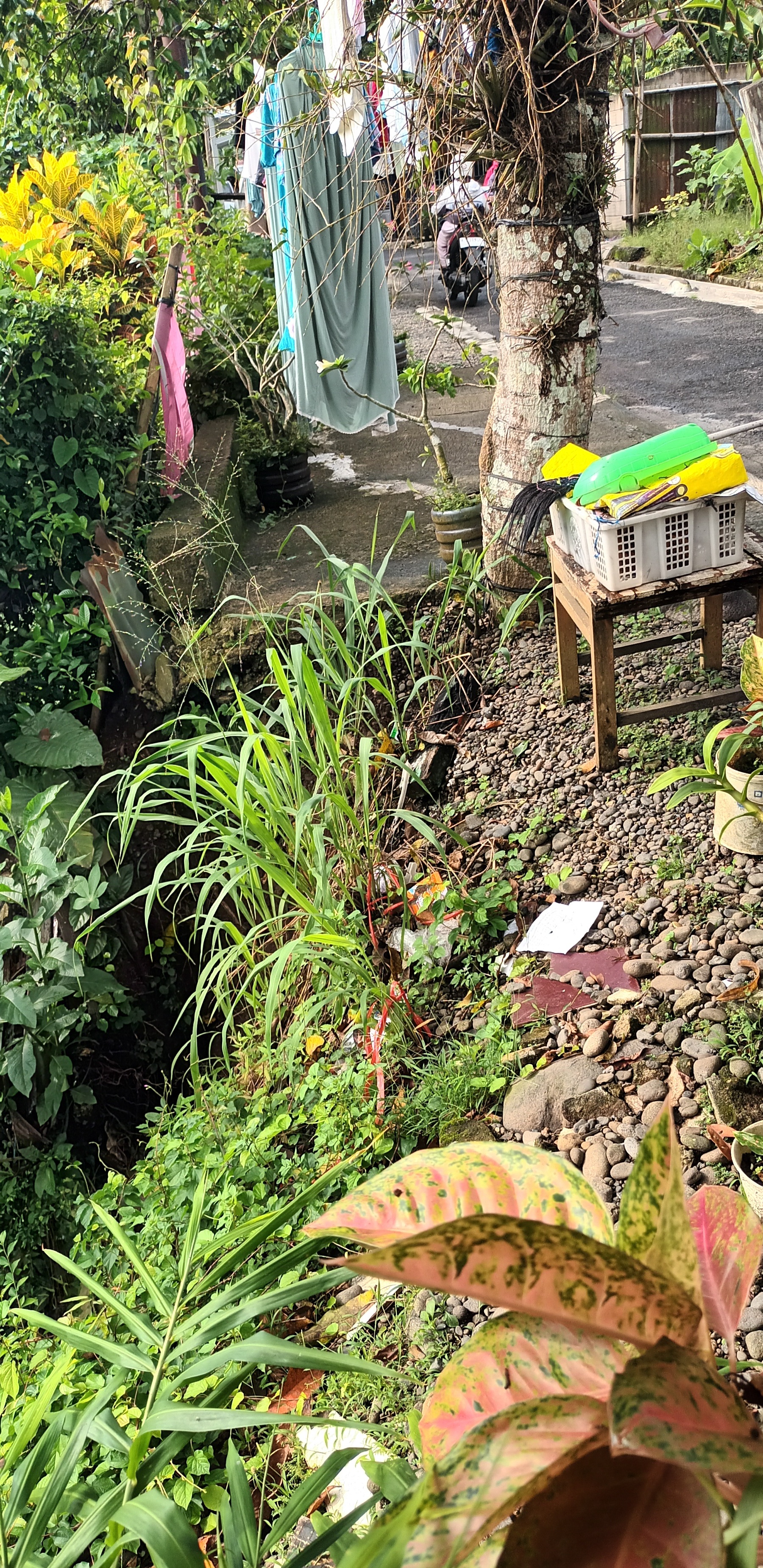 Lampiran foto terkait aduan Laporan Potensi Putusnya Jalan Sidodadi Akibat Longsor Tebing